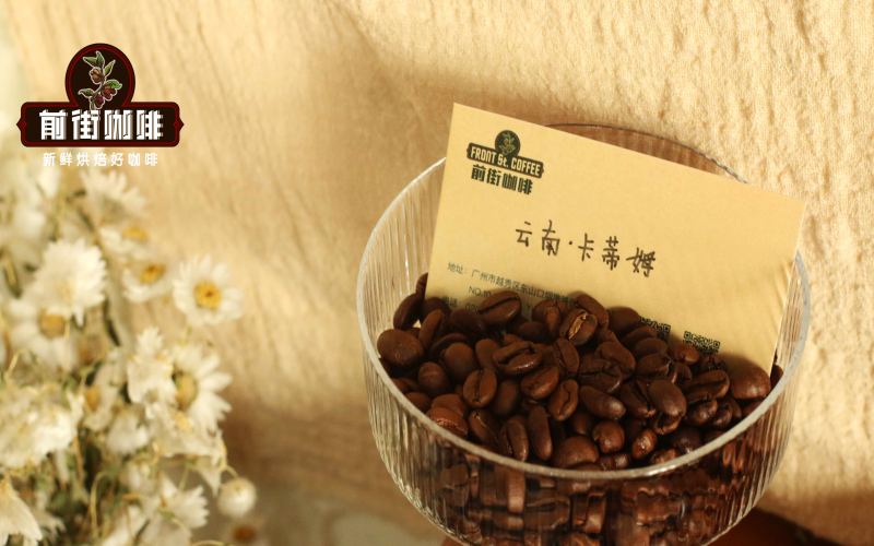 Yunnan Small-Bean Coffee Brewing Guide: Typica vs. Catimor Variety Differences and Front Street Coffee Farming Practices