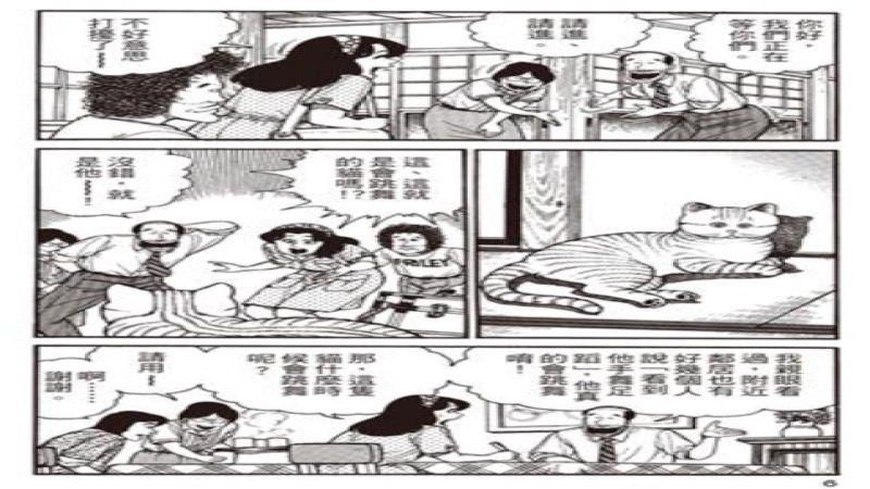 动物咖啡馆背后的残酷真相：从猫咪咖啡到野生动物走私，合法性争议与动物福利危机