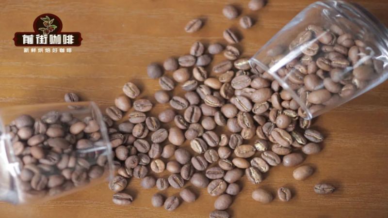 耶加雪菲手冲指南：风味特征、烘焙逻辑与三段式萃取实操