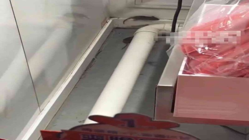 蜜雪冰城郑州门店现老鼠踪迹，官方致歉并启动全面整改