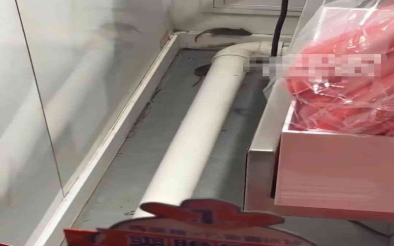 蜜雪冰城郑州门店现老鼠踪迹，官方致歉并启动全面整改