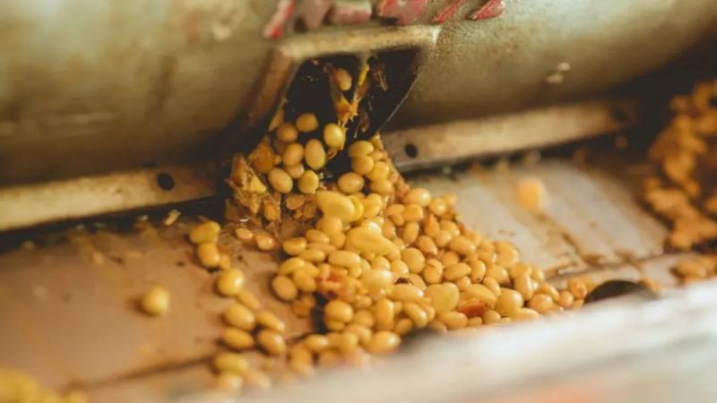 Why Does the Washed Processing Method Produce a Clean Taste? Front Street Coffee Washed Coffee Bean Recommendations and a Yirgacheffe Pour-Over Analysis