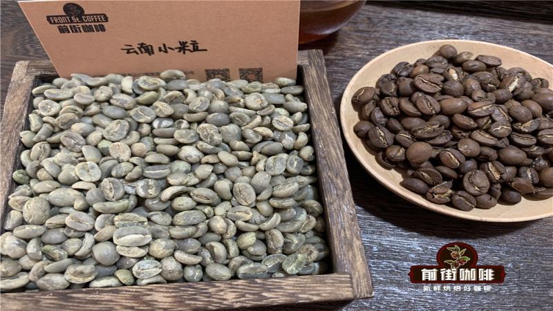 云南小粒咖啡豆风味解析：从铁皮卡到卡蒂姆的品种与产区全览