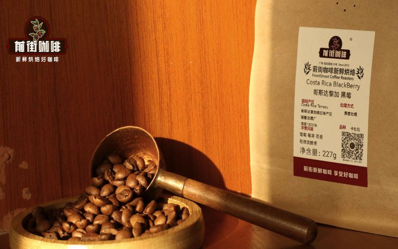 Commercial Pour-Over Coffee Beans | What's the Difference Between Single-Origin Pour-Over Beans and Espresso-Specific Coffee Beans? Recommendations for Beginner-Friendly Specialty Pour-Over Coffee Beans and Home Espresso Beans