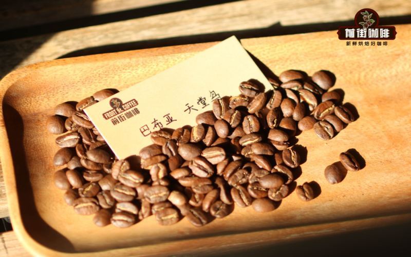 巴布亚新几内亚天堂鸟咖啡：铁皮卡品种的果酸茉莉花香与西格里庄园风味解析
