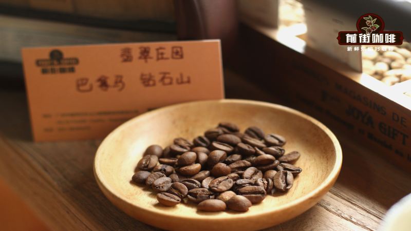 Coffee Bean Trees at Hacienda La Esmeralda Beyond Geisha
