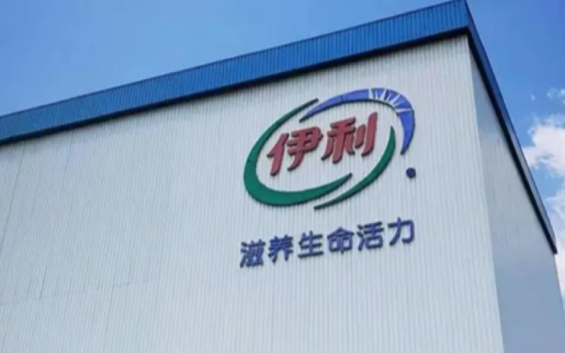 伊利三季报说明会透露加码无糖茶，现泡茶产品差异化布局成亮点