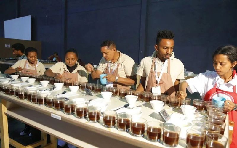Can the roast level reveal whether Yirgacheffe is authentic?
