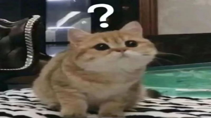 KONO名门滤杯深度解析：设计精髓与深烘咖啡冲煮特色全掌握