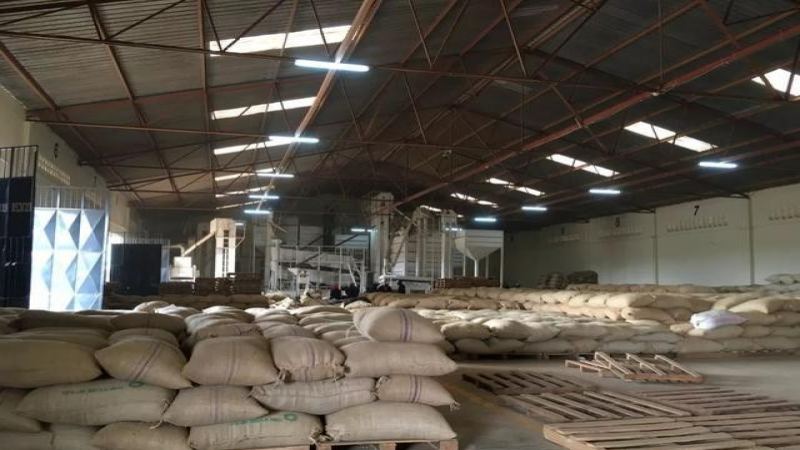 陈年曼特宁风味解析：正确品饮方式、市场价格与黄金曼特宁差异全指南