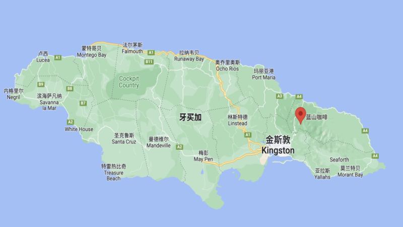 牙买加蓝山咖啡品牌盘点：正宗蓝山一号豆的产地、认证与冲煮风味解析