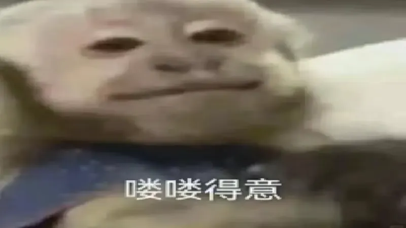 咖啡拉花晕染成因深度解析：奶泡分层、豆奶特性与打发含水量的关键影响