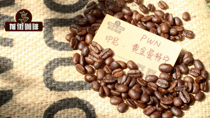 日本黄金曼特宁为何产自印尼苏门答腊？蓝宝石曼特宁的独特魅力解析