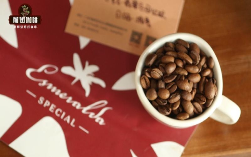Pour-over Origins and Altitude vs. Flavor: Why High-Grown Beans Have More Prominent Sweetness and Acidity
