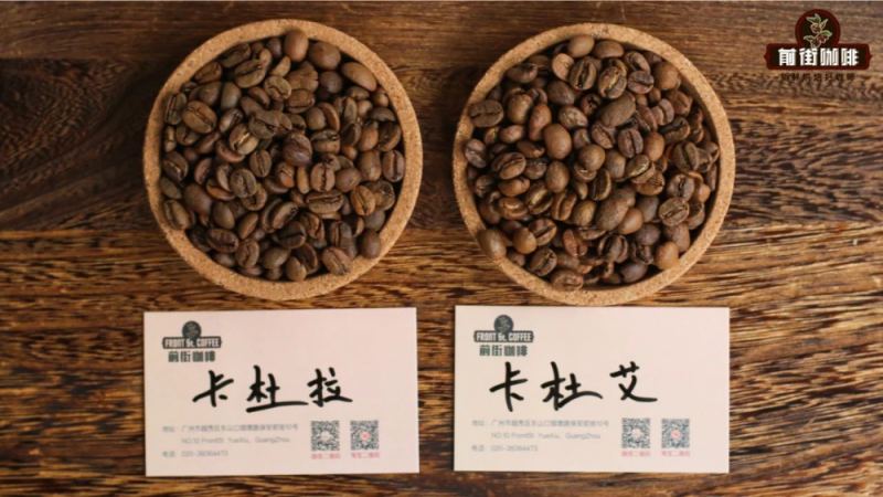 卡杜拉咖啡品种全面解析：从波旁自然变种到中美洲混种采收的缘由与风味特征