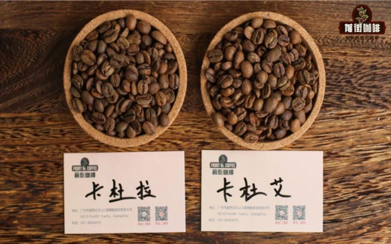 卡杜拉与卡杜艾咖啡豆品种对比：种植特性、风味差异及咖啡新手手冲选豆指南