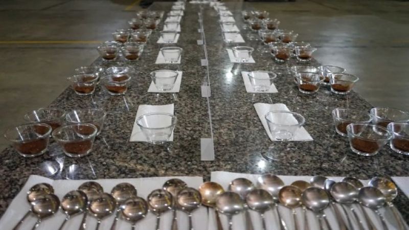 Cup of Excellence 2024 Returns to the Arabica Coffee Origin Country