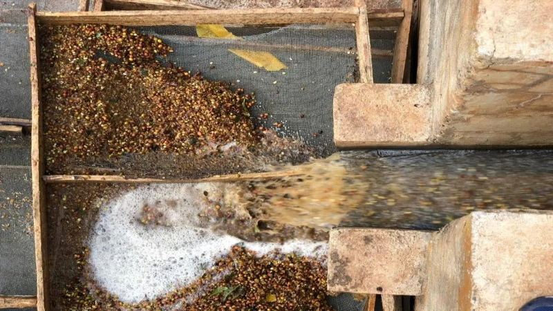 Recommended Cold Brew Coffee Beans: Balancing Budget and Drinking Frequency