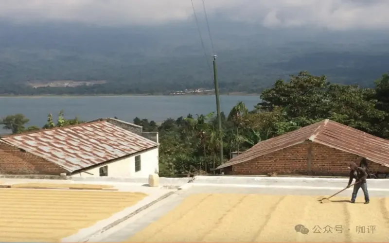 危地马拉新东方产区瑰夏咖啡豆全面解析：产地风土、品种特性与冲煮建议