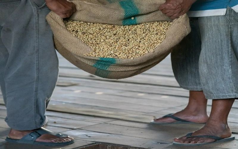 Choosing coffee beans with a full-bodied crema based on roast level