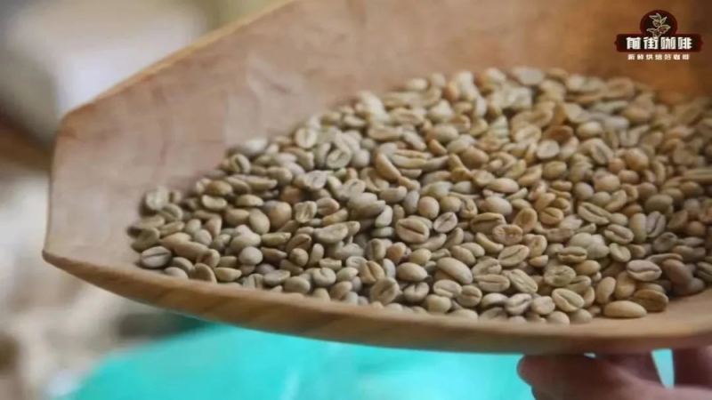 咖啡生豆新鲜度分级指南：新豆、旧豆、老豆与陈年豆如何界定？