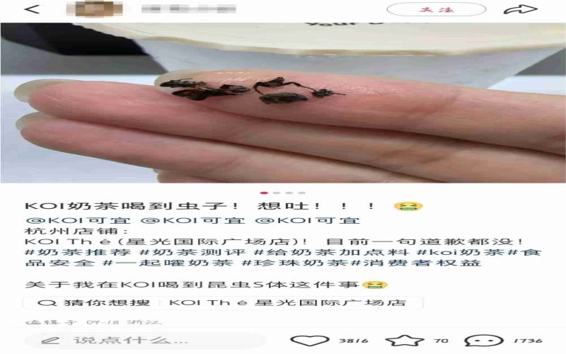 杭州消费者称KOI奶茶中喝出昆虫碎片，品牌方回应：生产环节无问题，愿走法律程序