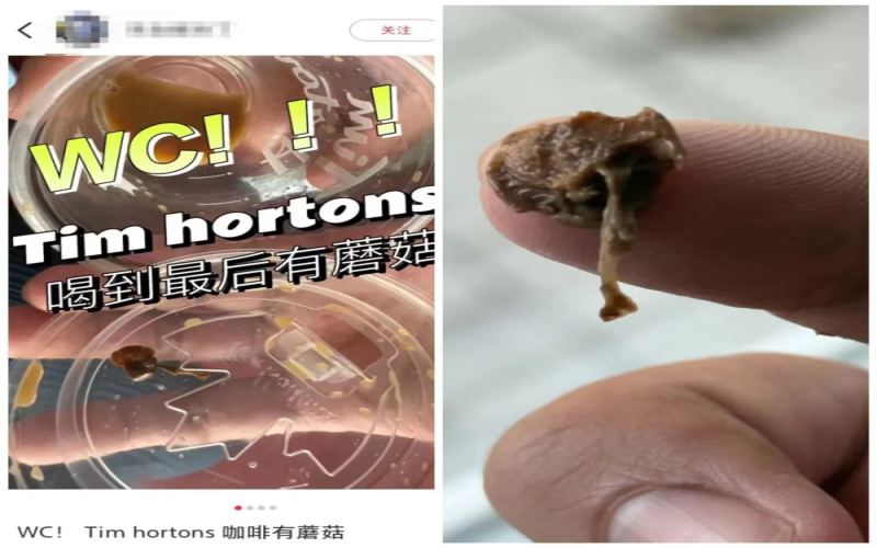 Tims咖啡杯底惊现蘑菇残渣，加拿大门店食品安全争议再升级