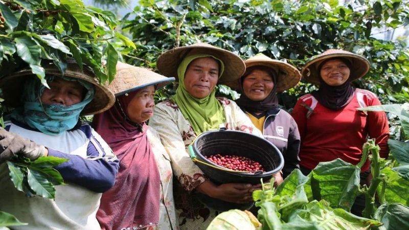 How to Choose Freshly Roasted Coffee Beans: Light, Medium, or Dark Roast