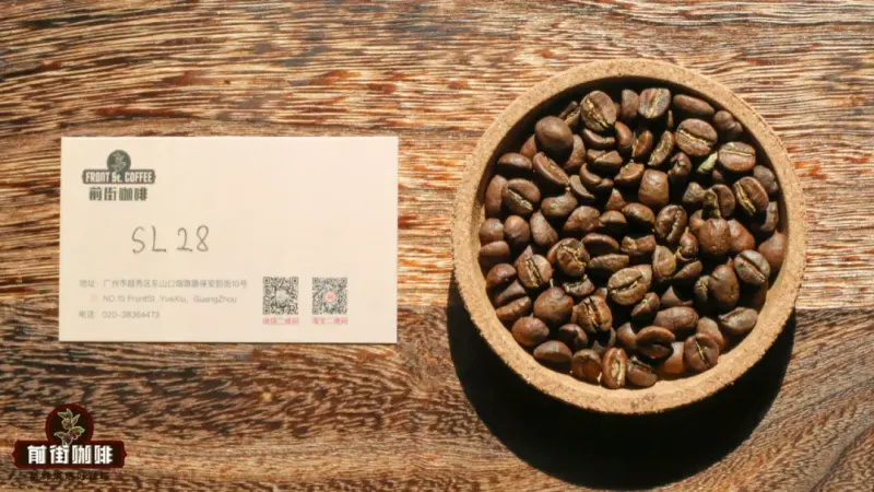 肯尼亚咖啡的等级定位与番茄风味溯源：SL28品种的前世今生