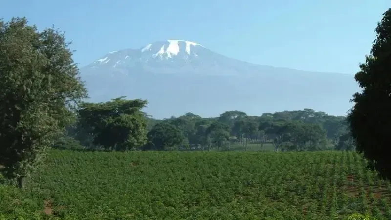 坦桑尼亚咖啡产区探析：从基戈马看东非咖啡的地理与历史