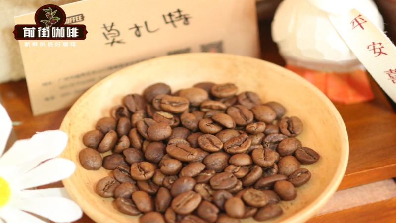 哥斯达黎加卡内特庄园音乐家系列：莫扎特与巴哈咖啡风味解析