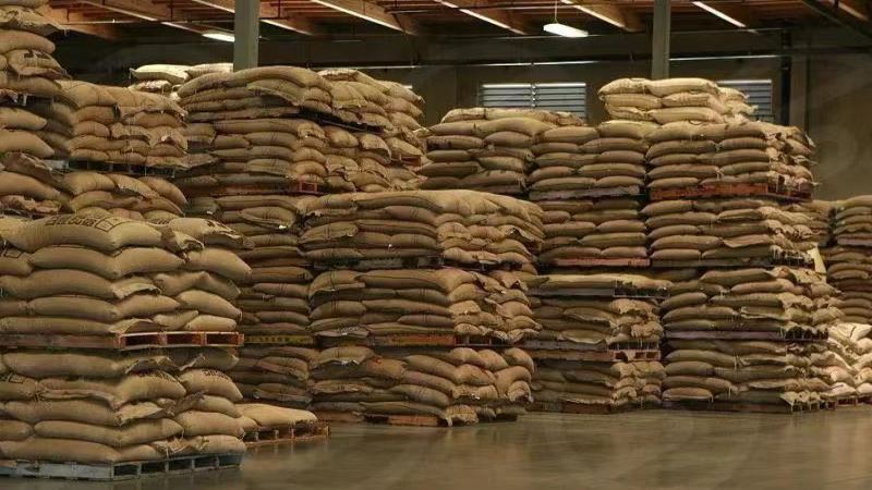 巴西咖啡风味与产地全解析：喜拉多与摩吉安娜精品豆的冲煮指南