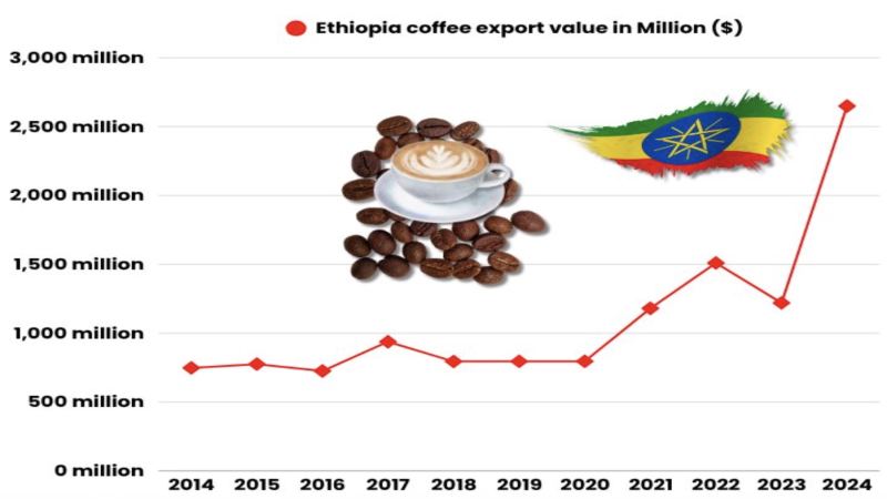 2024-2025 Ethiopia Coffee Export Report: Ethiopia's Main Coffee Export Destinations and Production