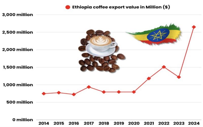 2024-2025 Ethiopia Coffee Export Report: Ethiopia's Main Coffee Export Destinations and Production