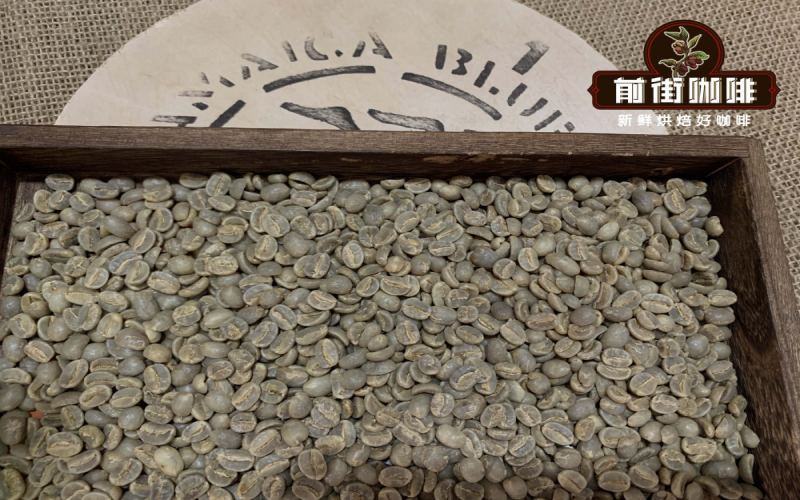 牙买加蓝山咖啡与瑰夏咖啡对比：两大顶级精品豆的产区、等级与风味差异全解析