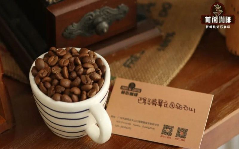 How to Choose Specialty Coffee Beans for a Moka Pot by Roast Level