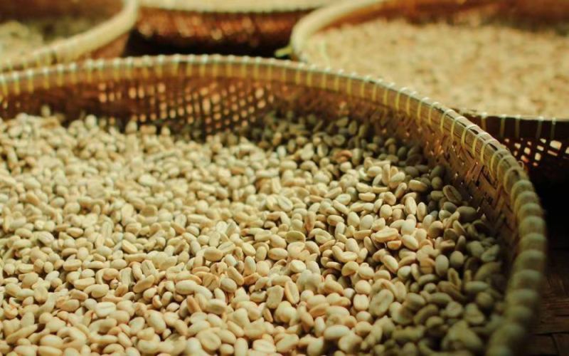 Indonesian Mandheling Brands | Why Is Sumatra Coffee Called Mandheling? How to Brew Mandheling Coffee? Recommended Dark Chocolate-Flavored Specialty Pour-Over Single-Origin Coffee Beans