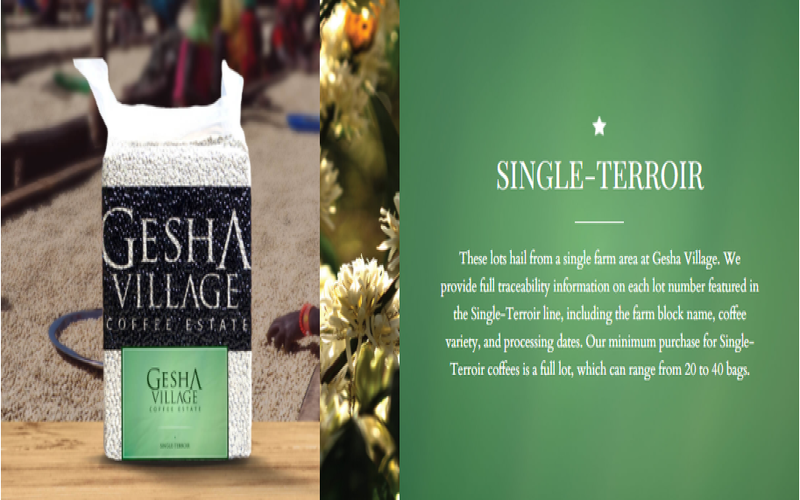 How to Choose SOE Coffee Beans: Matching Flavor from Light to Dark Roast