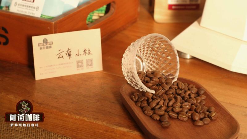 云南精品咖啡豆风味口感香气特征全面解析：从卡蒂姆到铁皮卡的产地风味密码