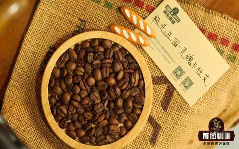 Coffee Machine Bean Selection Guide: Choosing the Right Cup by Roast Level