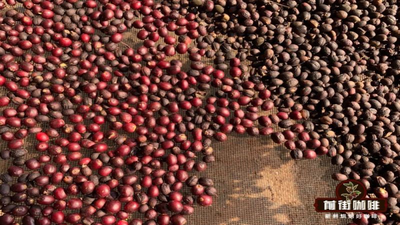 云南咖啡豆品牌销量榜单盘点：三大代表性咖啡品牌与产区风味解析