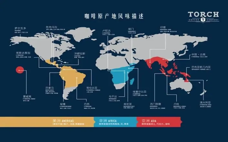 咖啡带上的非洲明珠：坦桑尼亚与卢旺达的咖啡产业巡礼