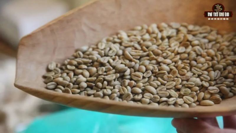A Detailed Guide to Ethiopia's Native Coffee Varieties and a Comprehensive Review of Flavor Characteristics by Region