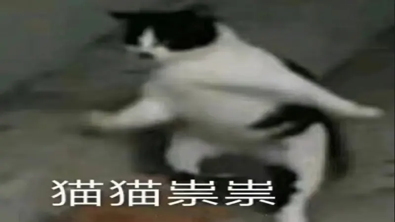 手冲咖啡水温变化如何影响风味？冬季冲煮该用多少度才合适