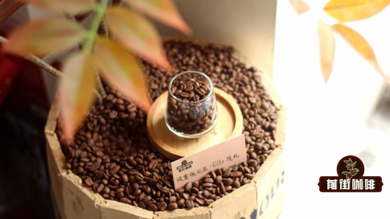 肯尼亚咖啡豆属于阿拉比卡吗？解析SL系列品种与番茄莓果酸香来源