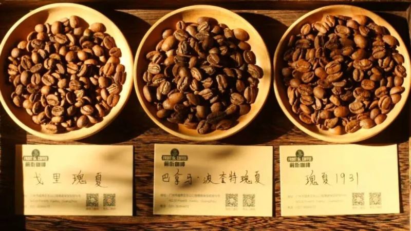 Gesha Village Coffee Grades | What Are the Differences in Flavor and Mouthfeel Between Ethiopia's Gesha Village Gold Label and Red Label Coffee?