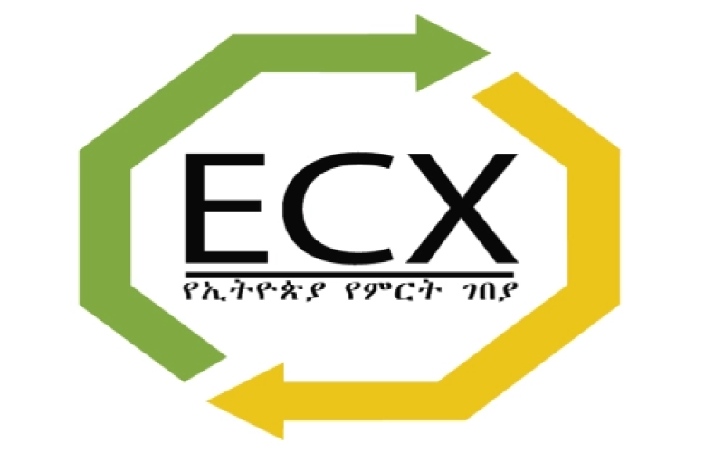 埃塞俄比亚咖啡豆分级体系解读：耶加雪菲G1与G2的差异究竟在哪里