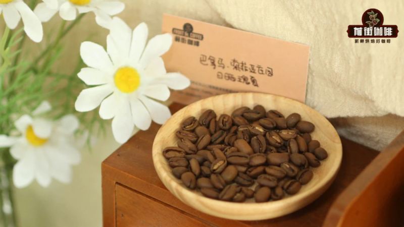 How to Choose Between Light and Dark Roasts for Geisha Coffee? A Complete Analysis of Flavor Expression and Brewing Parameters