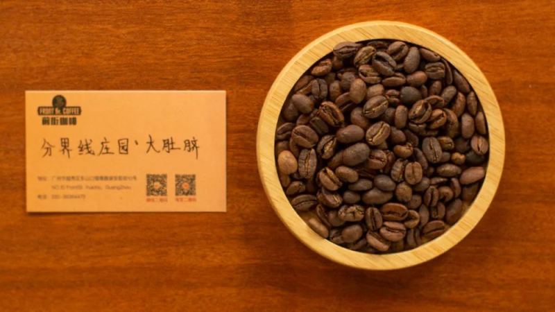 哥伦比亚分界线庄园大肚脐咖啡：品种溯源、热冲击发酵工艺与风味解析