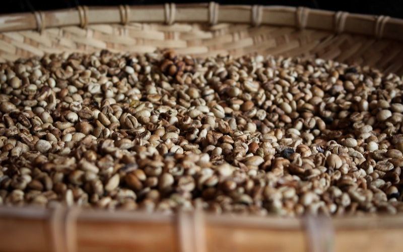 How Many Days After Roasting Do Coffee Beans Taste Best? From Resting Cycles to Sealed Storage—The Rhythm of Peak Flavor